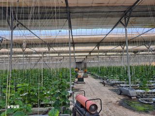 늘햇살팜 님의 기타작물 · 영농일지 작성글 사진