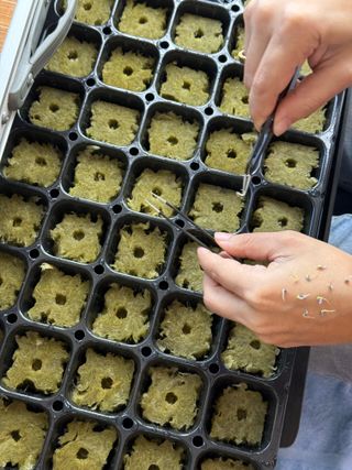 김정열님의 기타작물 · 영농일지 작성글 사진