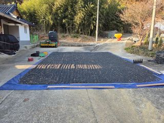 황미순님의 콩 · 영농일지 작성글 사진