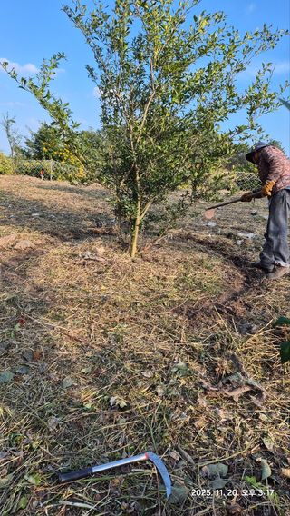 콩19996ㆍ혜자님의 기타작물 · 영농일지 작성글 사진