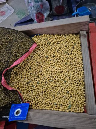 신승철님의 콩 · 영농일지 작성글 사진