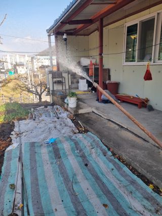 김용대님의 마늘 · 영농일지 작성글 사진