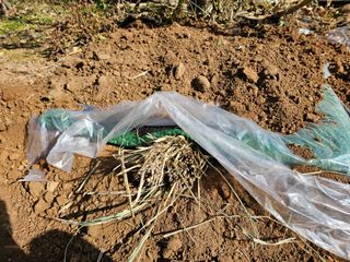 연모 자연의행복님의 기타작물 · 영농일지 작성글 사진