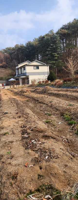 이윤옥님의 기타작물 · 영농일지 작성글 사진