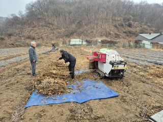 신승철님의 콩 · 영농일지 작성글 사진