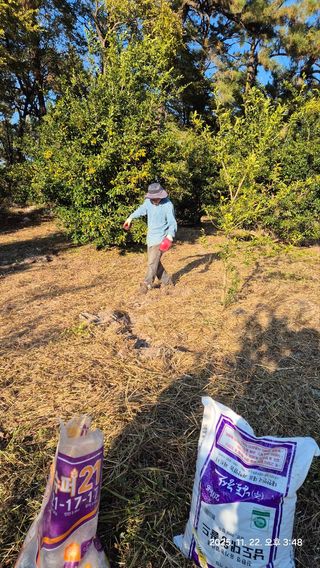 콩19996ㆍ혜자님의 기타작물 · 영농일지 작성글 사진