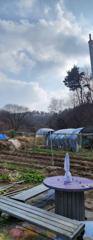 이윤옥님의 기타작물 · 영농일지 작성글 사진