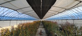 고추22286님의 기타작물 · 영농일지 작성글 사진