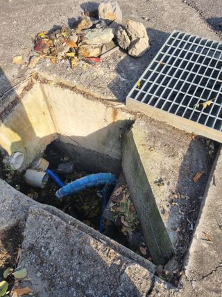 김용대님의 마늘 · 영농일지 작성글 사진