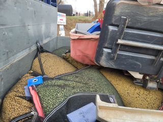 신승철님의 콩 · 영농일지 작성글 사진