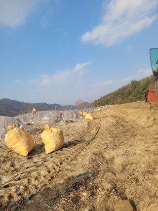 이름유순옥님의 기타작물 · 영농일지 작성글 사진