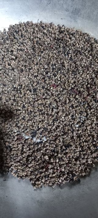 정석채님의 기타작물 · 영농일지 작성글 사진