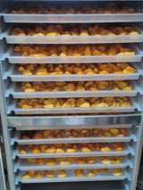 팜모닝 감·영농일지 게시글 이미지