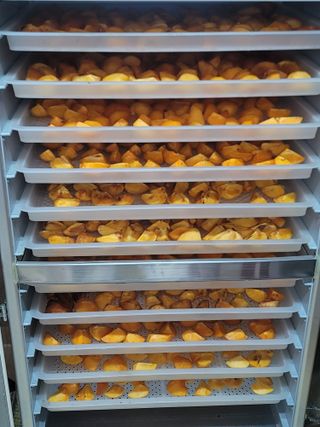 단풍농장님의 감 · 영농일지 작성글 사진