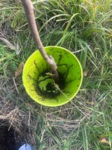 팜모닝 감·영농일지 게시글 이미지