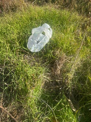 단감대봉시금치당님의 감 · 영농일지 작성글 사진