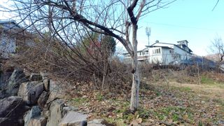 이순기님의 기타작물 · 영농일지 작성글 사진