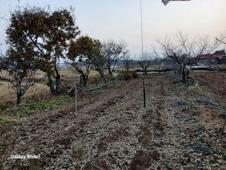 바위돌 심재성님의 기타작물 · 영농일지 작성글 사진