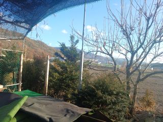 正覺님의 기타작물 · 영농일지 작성글 사진