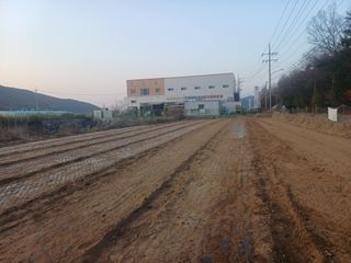 전원수님의 마늘 · 영농일지 작성글 사진