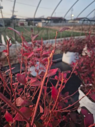 박영희님의 작성글 사진