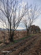 팜모닝 기타작물·영농일지 게시글 이미지