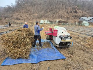 신승철님의 콩 · 영농일지 작성글 사진