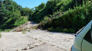 이순기님의 두릅 · 영농일지 작성글 사진