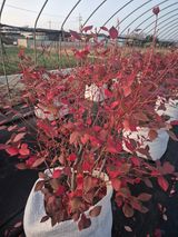 박영희님의 작성글 사진