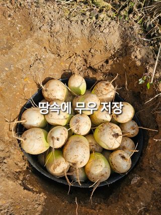 연모 자연의행복님의 기타작물 · 영농일지 작성글 사진