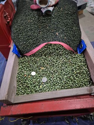 신승철님의 콩 · 영농일지 작성글 사진