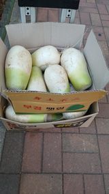 팜모닝 기타작물·영농일지 게시글 이미지