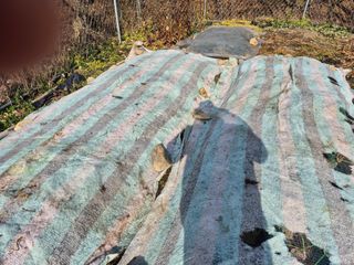 이준영님의 기타작물 · 영농일지 작성글 사진