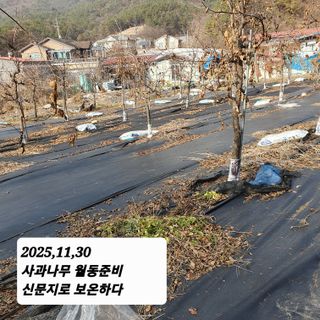 시민농장님의 기타작물 · 영농일지 작성글 사진