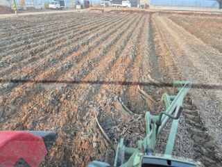 벼7893님의 콩 · 영농일지 작성글 사진