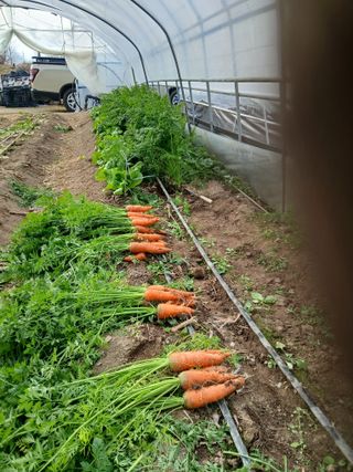 Smy1245678님의 기타작물 · 영농일지 작성글 사진