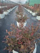 팜모닝 기타작물·영농일지 게시글 이미지