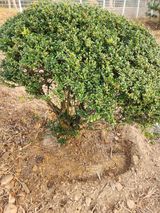 팜모닝 기타작물·영농일지 게시글 이미지