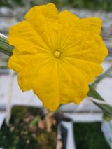 태이린팜님의 작성글 사진