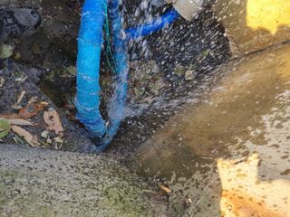 김용대님의 마늘 · 영농일지 작성글 사진