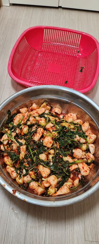 박정수님의 기타작물 · 영농일지 작성글 사진