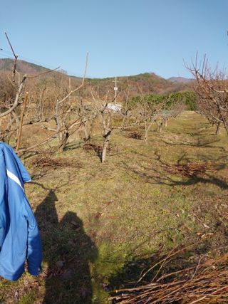 상추20832님의 기타작물 · 영농일지 작성글 사진