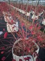 박영희님의 작성글 사진