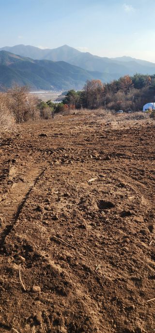 김제일님의 기타작물 · 영농일지 작성글 사진