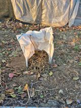 팜모닝 기타작물·영농일지 게시글 이미지