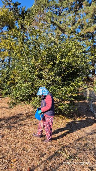 콩19996ㆍ혜자님의 기타작물 · 영농일지 작성글 사진