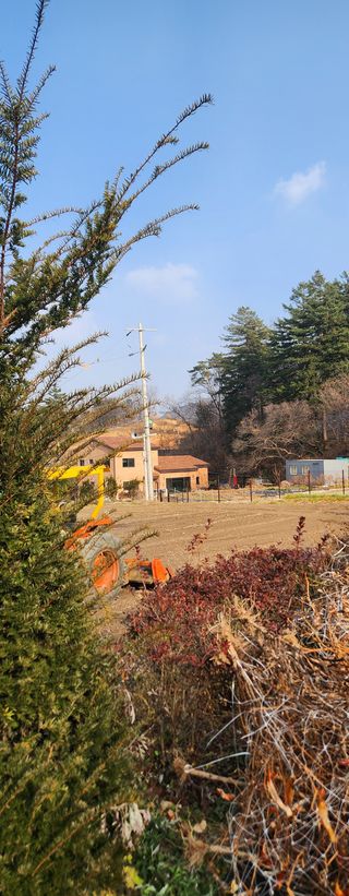 이윤옥님의 기타작물 · 영농일지 작성글 사진