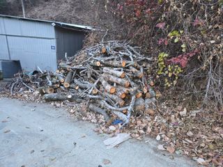 김가현님의 사과 · 영농일지 작성글 사진