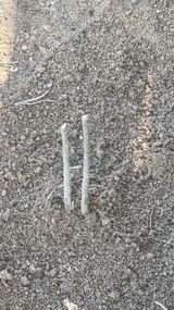 권혁렬님의 작성글 사진