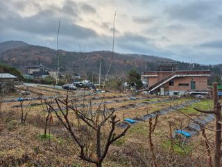나오리농장님의 기타작물 · 영농일지 작성글 사진